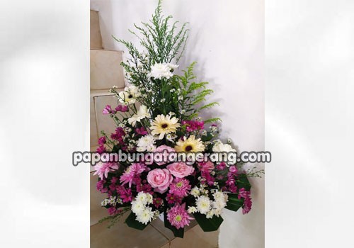 IMG-PRODUCT