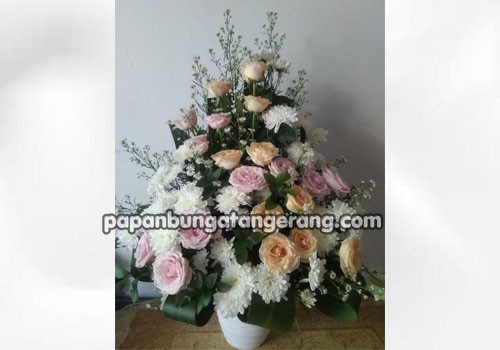 IMG-PRODUCT